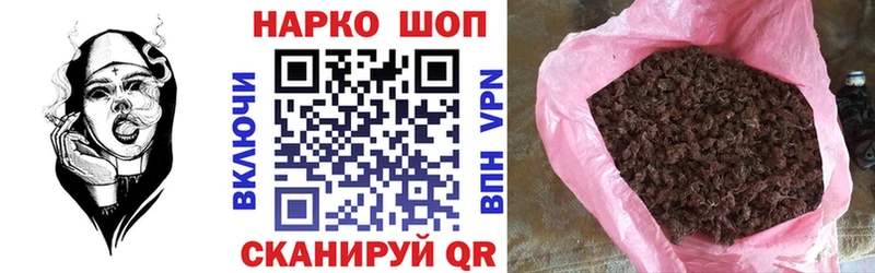  COCAIN Мезень