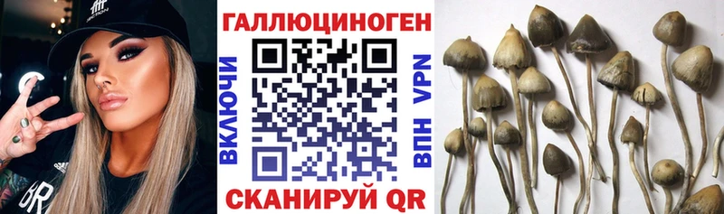 Галлюциногенные грибы прущие грибы  Мезень 